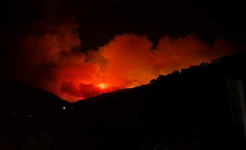 Ödemiş'te de orman yangını çıktı