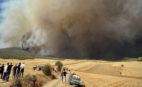 Orman Bölge Müdürü alevlerin arasında kaldı! Acil kodu ile yardım istendi