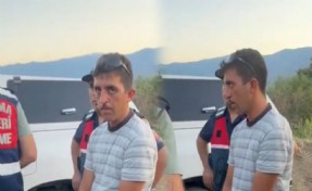 Nazilli'de ormanı yakan şüpheli tutuklandı