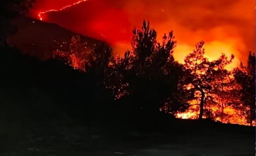 Sakarya'dan Bilecik'e sıçrayan yangın kıyameti aratmıyor! Belediyeden yardım çağrısı