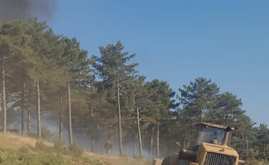 Tavşanlı’daki orman yangını kısa sürede söndürüldü