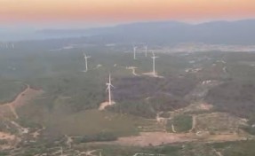Urla'daki orman yangını 20 saat sonra kontrol altına alınabildi
