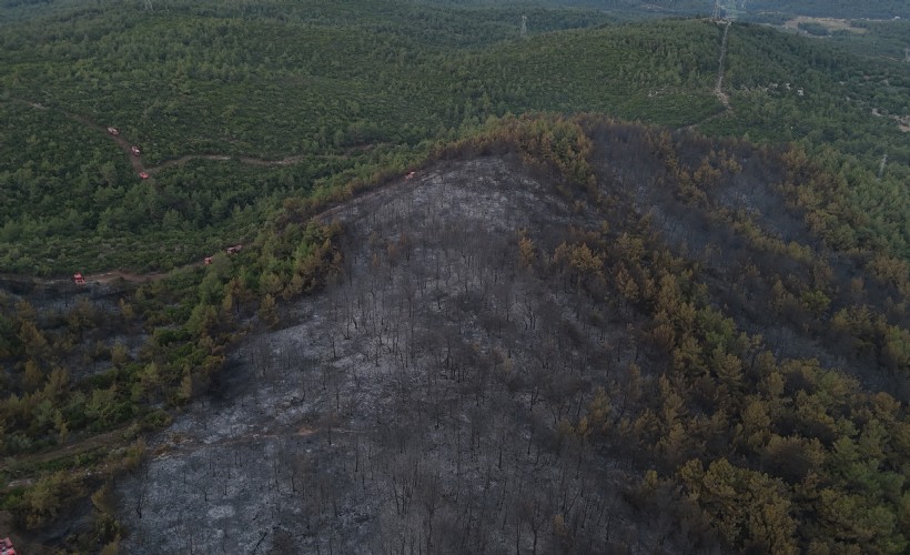 Bakan Yumaklı'dan Urla yangını açıklaması; Kontrol altına alındı