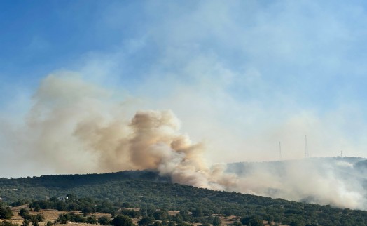 Uşak’ta meşelik yangını: 7 saat sonra kontrol altına alındı!