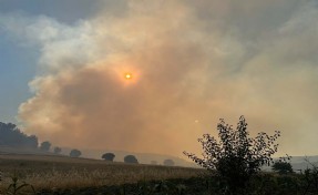 Uşak’ta tarım arazisinde çıkan yangın ormana sıçradı