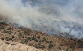 Aydın'da tarım arazisi ile maki yangını kontrol altına alındı