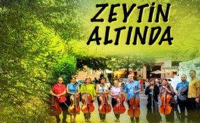 Zeytin Altında konserleri MAV Cello Ensemble ile başlıyor