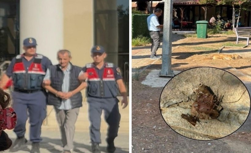 15 canı katleden cani tutuklandı! Etleri çocuklara dağıttırmış