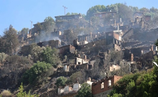 AFAD, İzmir orman yangınları açıklaması