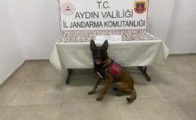 Durdurulan otomobilden yüzlerce sentetik hap çıktı: 3 gözaltı