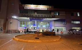 Aydın'da otomobil ağaca çarptı: 4 yaralı
