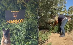 Aydın'da uyuşturucu operasyonu: 2,4 kilo esrar ve silah ele geçirildi