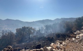 Bodrum'da korkutan yangın kontrol altına alındı