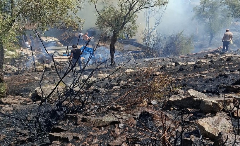 Bodrum'daki yangında 10 dönüm alan zarar gördü