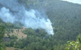 Bolu'da yangın paniği: Müdahale sürüyor!