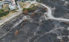 Buca'da yanan alanlar havadan böyle görüntülendi: 3 kişi gözaltında!