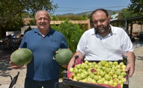Buca'nın 700 yıllık mahallesi incir ve kavun festivaliyle renklendi