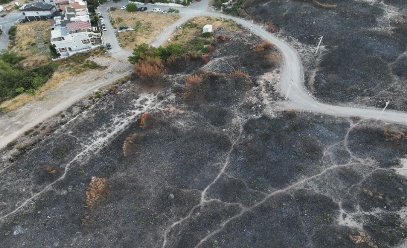 Buca'nın yanmasına neden olan şahıs tutuklandı