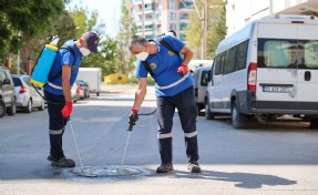 Buca’da ilaçlama atağı