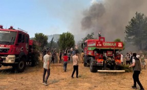 Çanakkale'de kabus 2'nci gününde! 5 köy boşaltıldı, 4 şüpheli gözaltına alındı