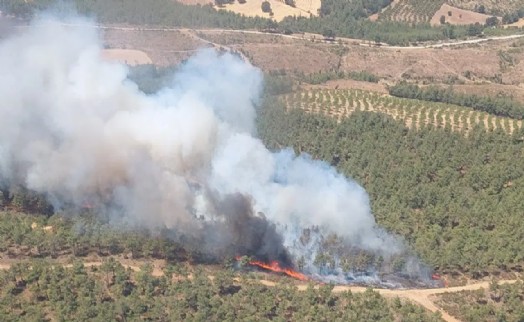 Çanakkale'de yine orman yangını: Kazdağları tehdit altında!