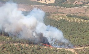 Çanakkale'de yine orman yangını: Kazdağları tehdit altında!