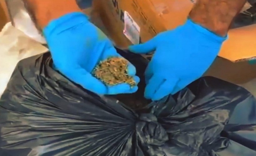 İzmir'de dev uyuşturucu operasyonu: 127 kilo bonzai ele geçirildi