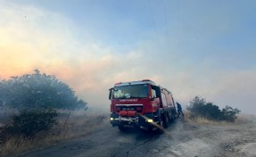 İzmir İtfaiyesi Dikili’deki yangına müdahale ediyor: 7 ev kül oldu!