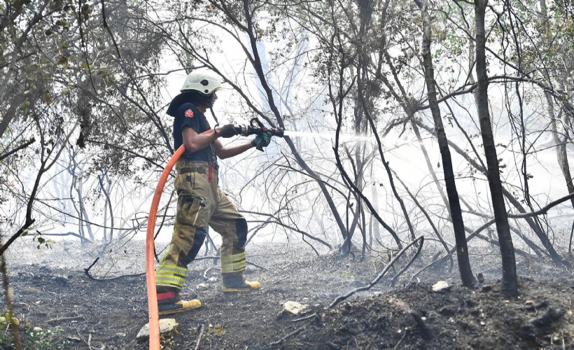 İzmir İtfaiyesi Menderes’te alevlerle mücadele ediyor