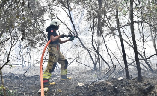 İzmir İtfaiyesi Menderes’te alevlerle mücadele ediyor