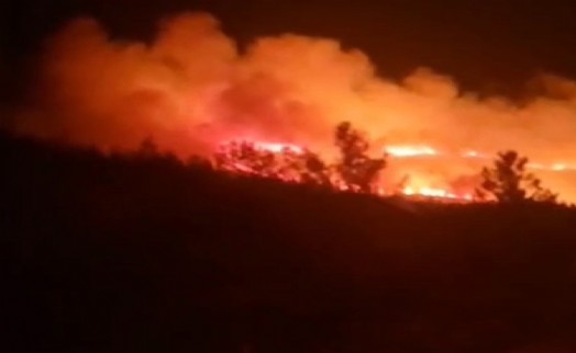 İzmir'de orman yangını