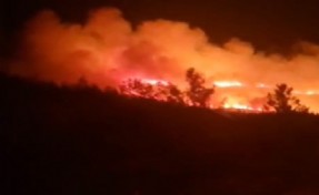 İzmir'de orman yangını