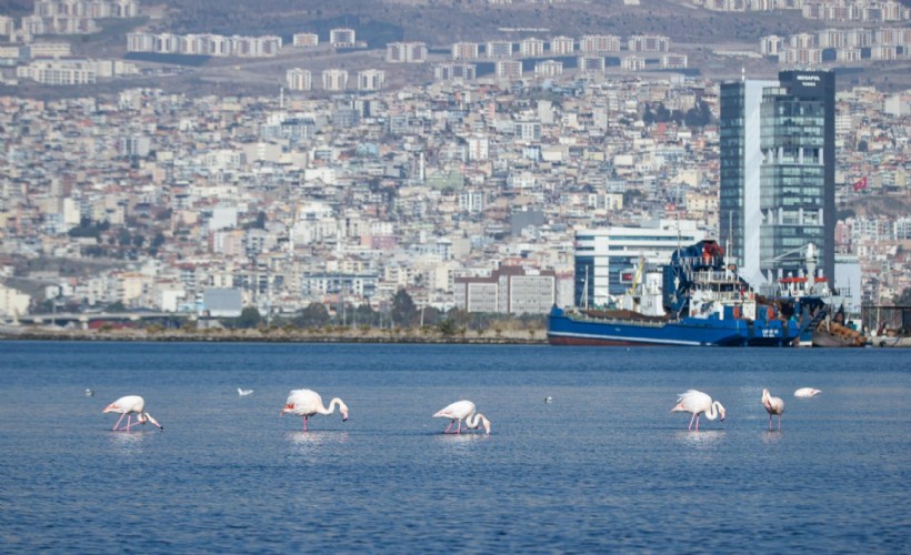 İzmir’in iklim krizi ile mücadelesi uluslararası arenada