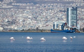İzmir’in iklim krizi ile mücadelesi uluslararası arenada