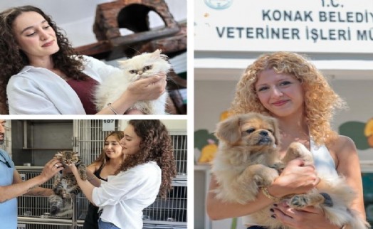 Konak’ın patili dostları sahiplenilmeye hazır : Ömürlük yuvalarını bekliyorlar