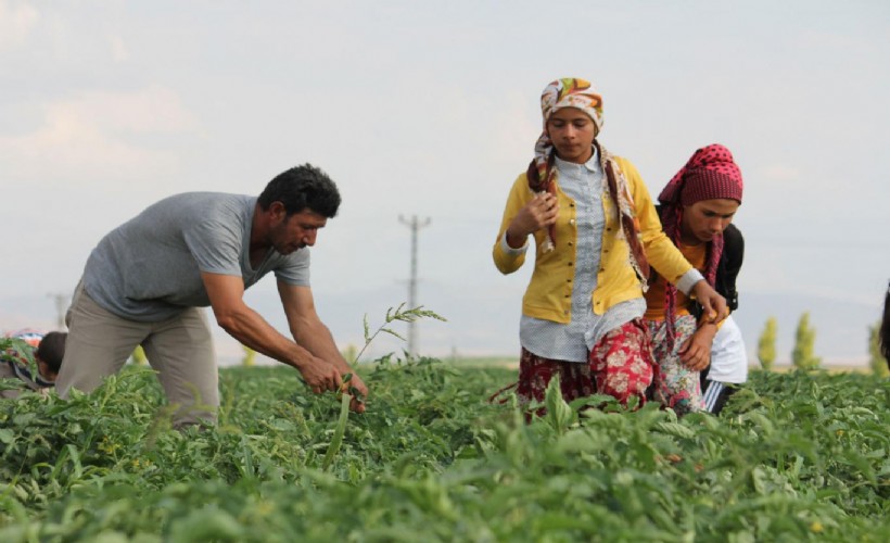 Köye dönen gençlere bedelsiz arazi, düşük faizli kredi ve ev desteği