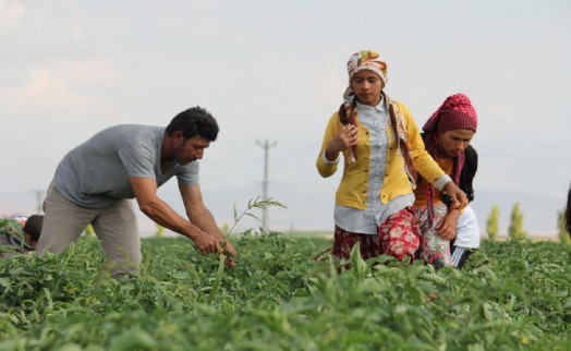 Köye dönen gençlere bedelsiz arazi, düşük faizli kredi ve ev desteği