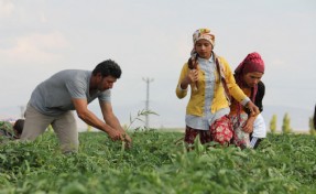 Köye dönen gençlere bedelsiz arazi, düşük faizli kredi ve ev desteği