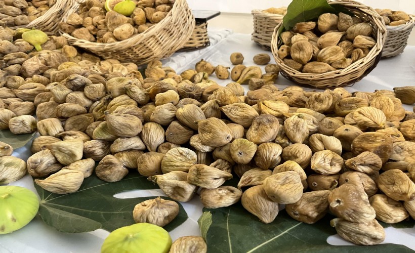 Kuru incir sezonu açıldı: Kilosu 800 liradan satıldı!