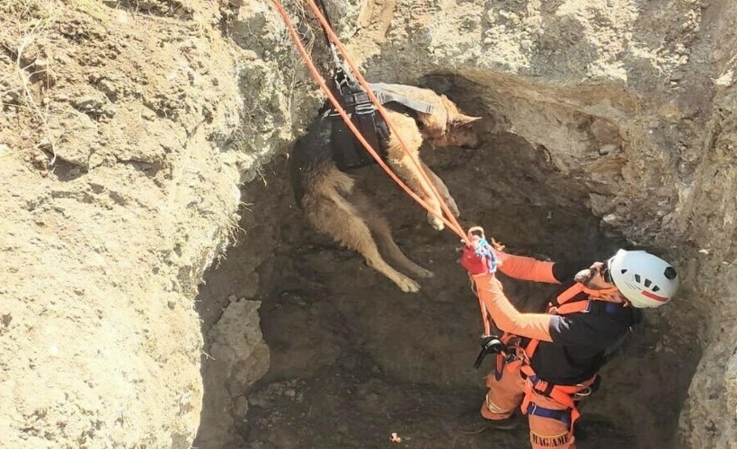 Kuyuya düşen köpeği itfaiye kurtardı
