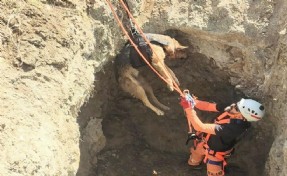 Kuyuya düşen köpeği itfaiye kurtardı