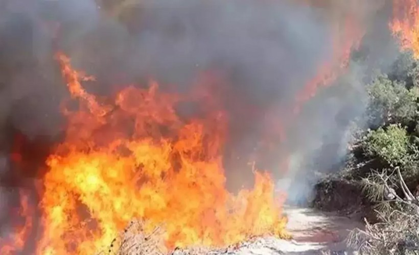 Manisa'daki orman yangınına ilişkin 1 tutuklama