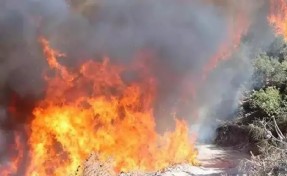Manisa'daki orman yangınına ilişkin 1 tutuklama