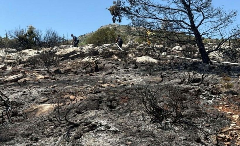 Muğla'da maki yangınında 1,5 dönüm alan zarar gördü