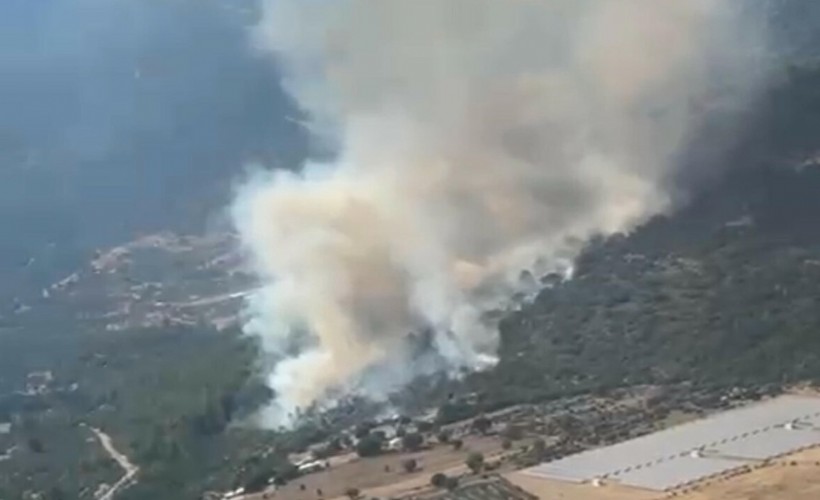 Muğla'da orman yangını