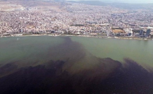 Prof. Dr. Özkan: Körfez 40 yılda kirlendi, 1-2 yılda temizlenemez!