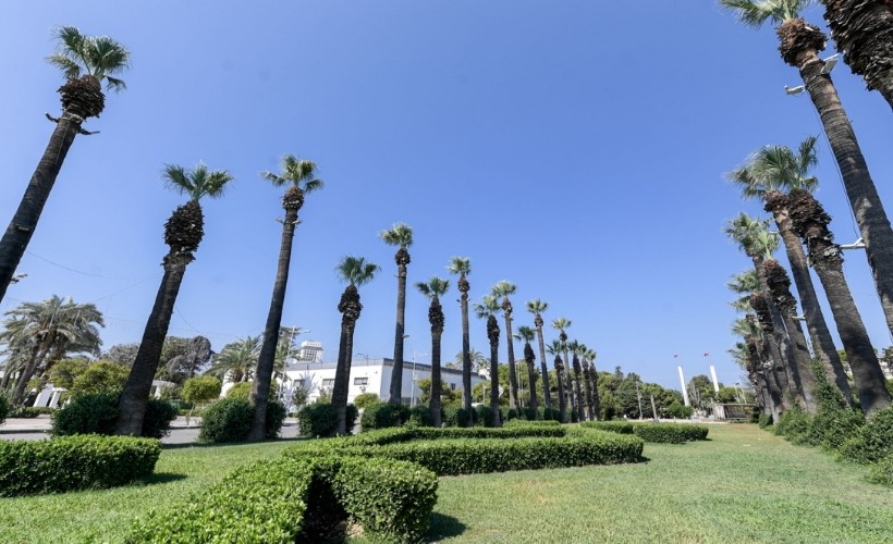 Sismik sensör uygulamasıyla Kültürpark'ın palmiyeleri güvende