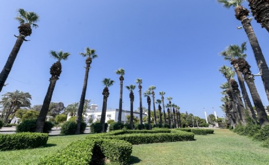 Sismik sensör uygulamasıyla Kültürpark'ın palmiyeleri güvende