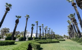 Sismik sensör uygulamasıyla Kültürpark'ın palmiyeleri güvende