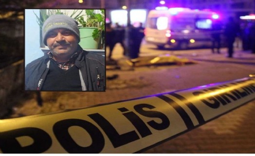 Domuz sürüsüne çarpan motosikletin sürücüsü öldü